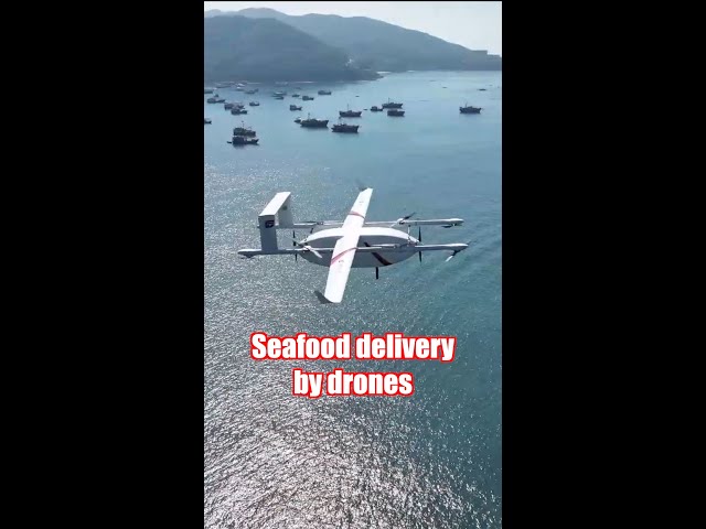 Drone route for seafood delivery opens in China's Shenzhen