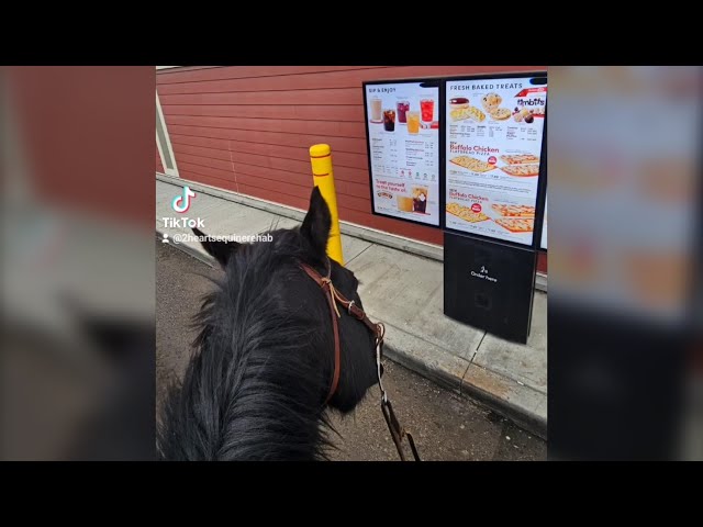 Woman riding her horses through Alberta town causing bylaw confusion