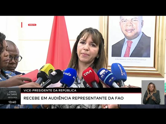 Vice - Presidente da República:  Recebe em audiência representante da FAO