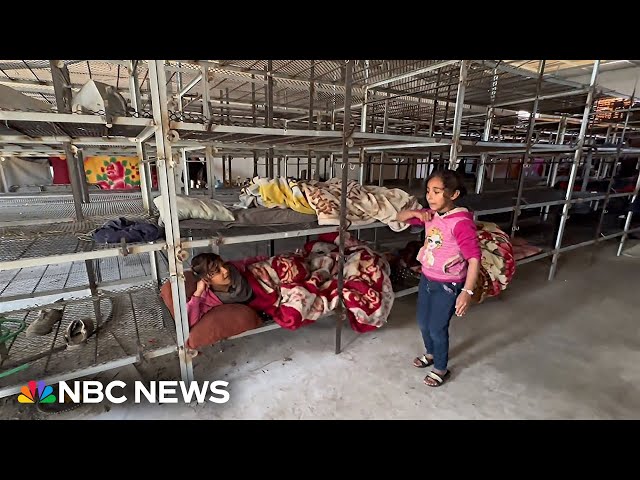 Displaced families in Gaza living in a chicken coop for safety