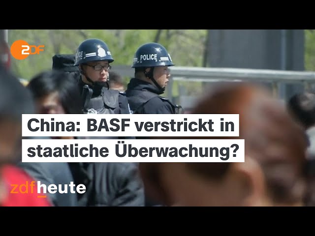 BASF-Rückzug aus Uiguren-Provinz Xinjiang gefordert | frontal