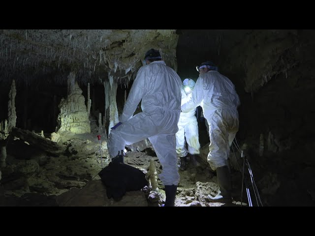 Préhistoire : enquête autour des mystères de la grotte de Cussac