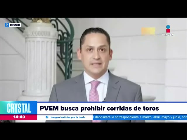 Partido Verde presenta ley para prohibir las corridas de toros | Noticias con Crystal Mendivil