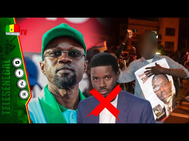 Un apériste de Touba démolit Sonko et le traite de tous les noms: "Diomaye waroul bok élection.