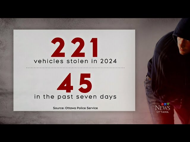 Ottawa holds national summit to combat auto thefts