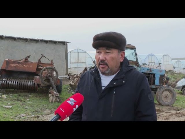 ⁣Аграрии Шымкента вынуждены сокращать посевные площади