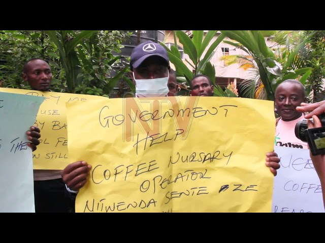 Seedling suppliers demand government payment, seek parliament intervention