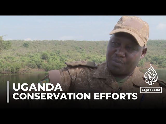 Uganda wildlife: Decades-long conservation efforts at risk