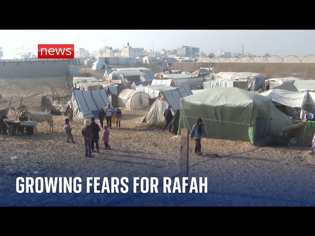 Israel-Hamas: How has Rafah become a lifeline in the Gaza strip?