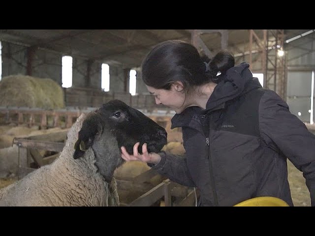 ¿Cuáles son las razones de la cólera de los agricultores franceses?