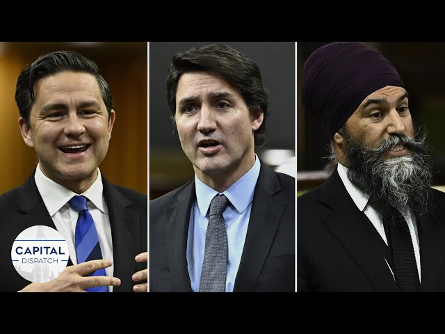 Poilievre's position on trans restrictions | Singh puts Trudeau "on notice" | Capital