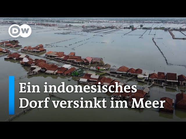 ⁣Wie sich ein indonesisches Dorf auf den buchstäblichen Untergang vorbereitet | DW Nachrichten