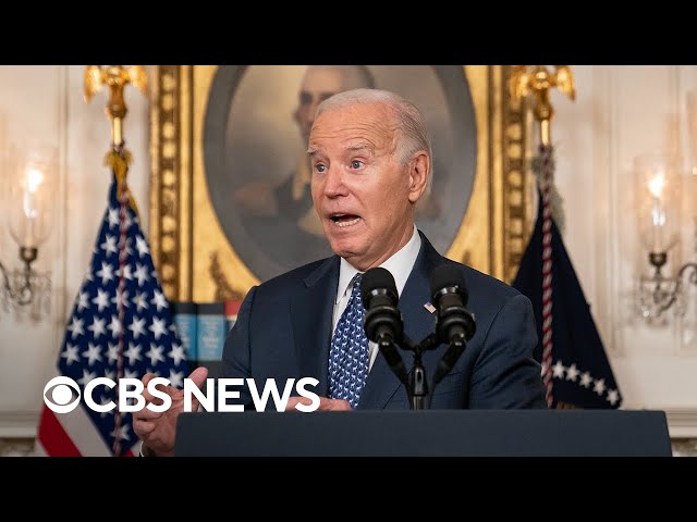 Political strategists on Biden's memory, special counsel report