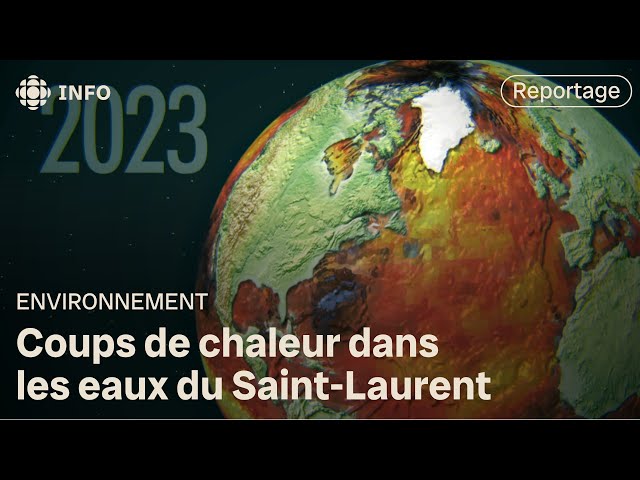 De nouvelles vagues de chaleur dans le Saint-Laurent | Découverte