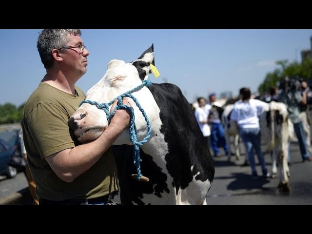 Hungarian and Polish farmers stage protest on border with Ukraine