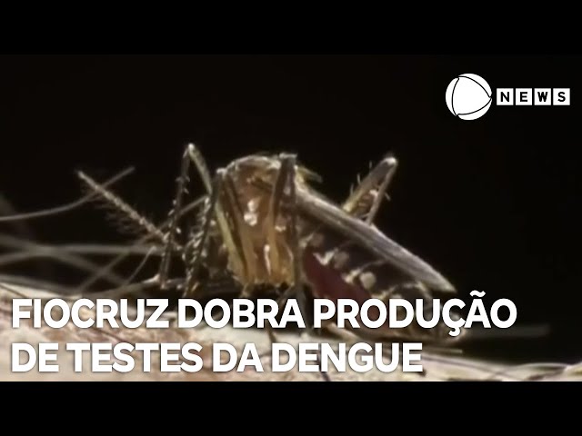 Fiocruz dobra produção de testes para diagnóstico de dengue