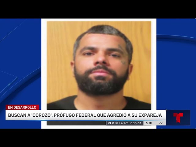 Peligroso y armado: buscan a prófugo federal que agredió a expareja