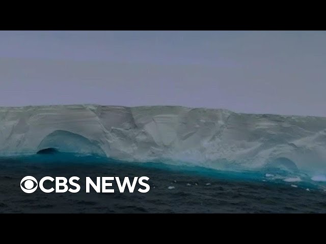 World's largest iceberg on the move after dislodging from ocean floor