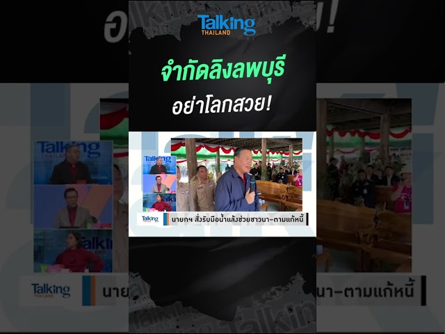 กำจัดลิงลพบุรี อย่าโลกสวย!  #voicetv #talkingthailand