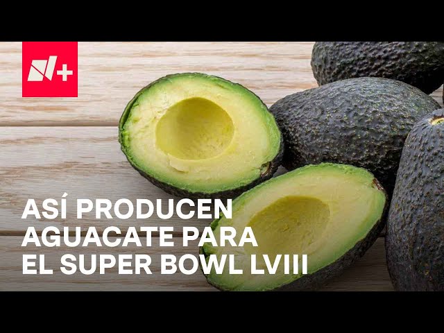 Aguacate mexicano: Este es el camino que recorre para llegar al Super Bowl LVIII - En Punto