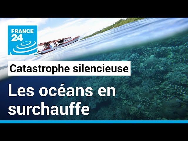 La température des océans bat des records, des conséquences en cascade • FRANCE 24