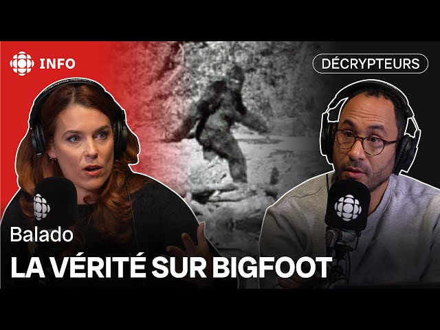 De nouvelles informations sur l'identité du Bigfoot dévoilées | Décrypteurs
