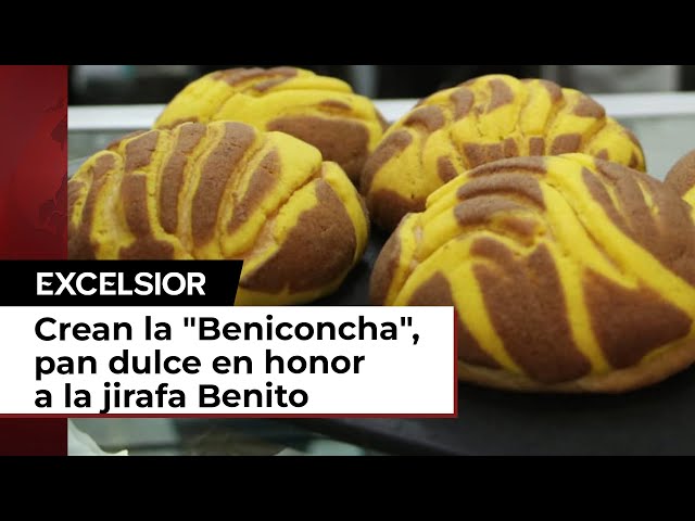 Crean en Puebla la "Beniconcha", pan dulce en honor a la jirafa Benito