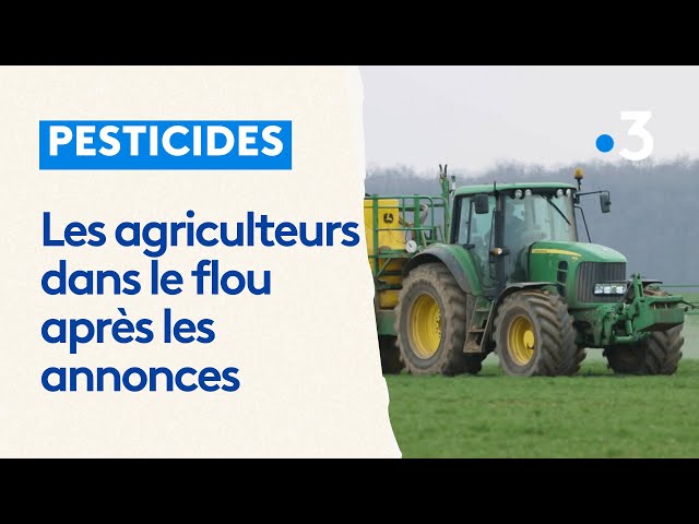 "Rien ne va changer dans l'approche des phytosanitaires"