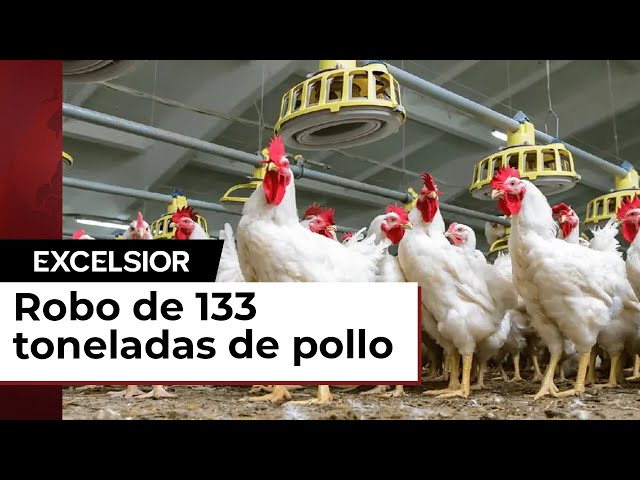 Cuba condena a 30 personas ¡Se robaron 133 toneladas de pollo!