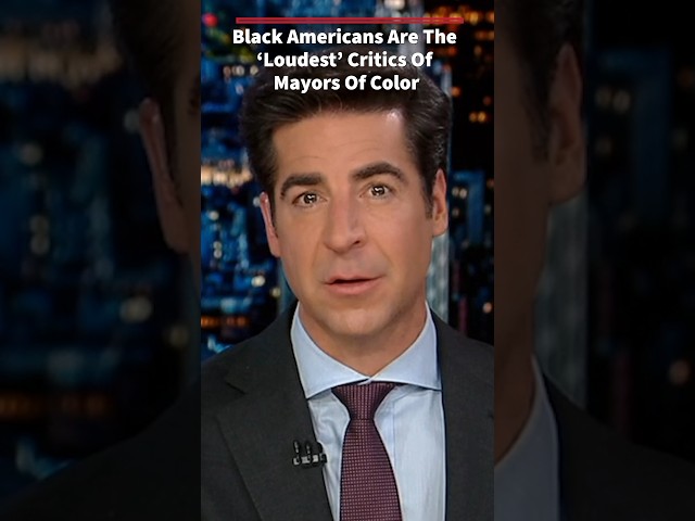 This is what black Americans think about ‘mayors of color’: Watters