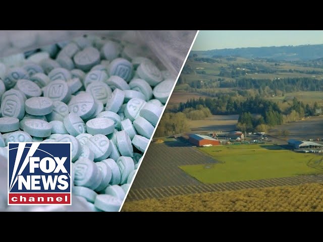 ⁣Crisis in the Northwest: Drugs leave rural areas to rot in the shadows