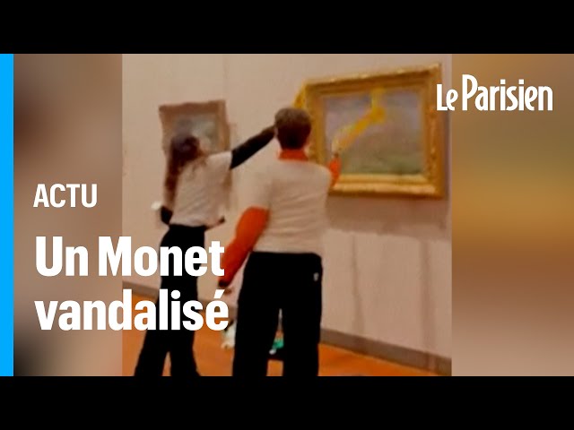 Une toile de Monet aspergée de soupe, le musée des Beaux-Arts de Lyon porte plainte