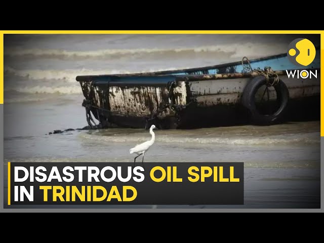 Oil spill in Trinidad & Tobago; 10 miles of coastline affected due to oil spillage | WION