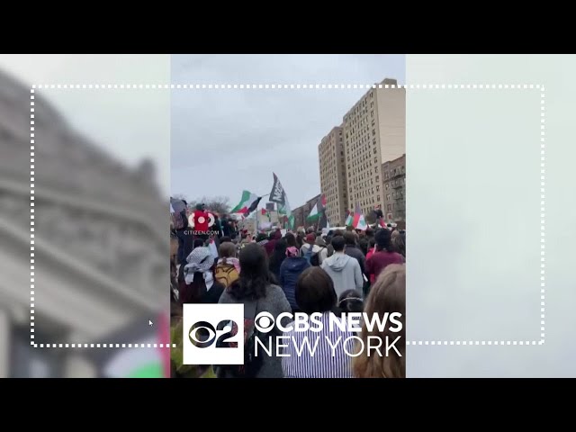 Pro-Palestinian supporters hold rally outside Brooklyn Museum