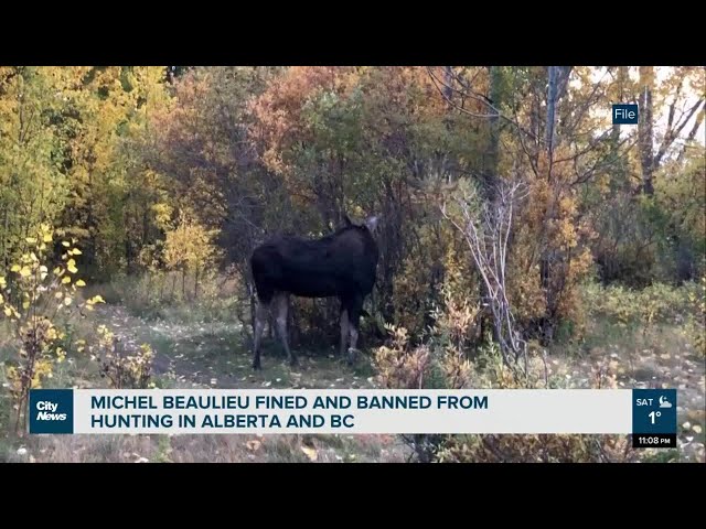 Michel Beaulieu banned and fined from hunting in Alberta and B.C.