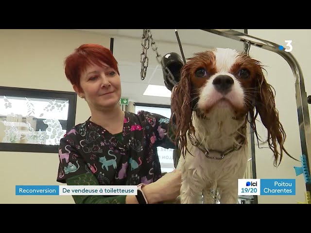 Reconversion réussie : Séverine, vendeuse devenue toiletteuse