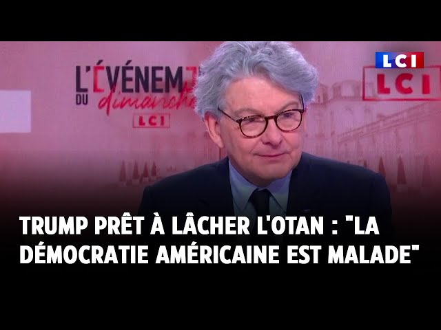 Donald Trump prêt à lâcher l'Otan : "La démocratie américaine est malade", selon Thie