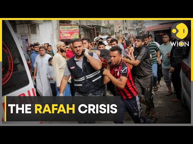 Israel-Hamas war: Displaced Gazans in Rafah look to Egypt for help | World News | WION