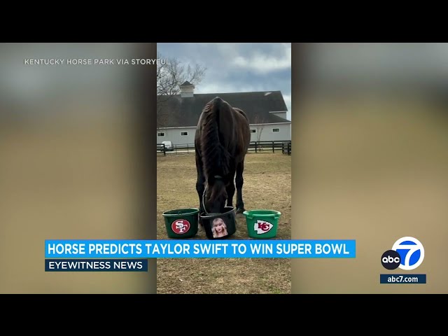 Horse predicts Taylor Swift to win Super Bowl