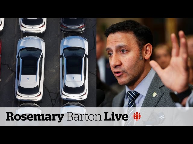 Canada's justice minister ‘actively exploring’ options for tougher car theft penalties