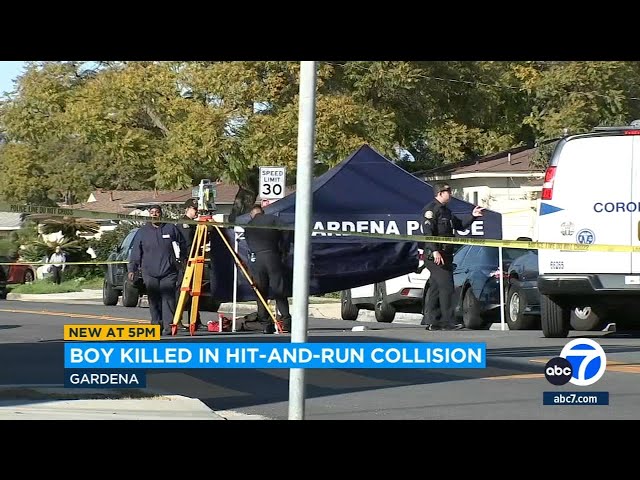 Young boy fatally struck by hit-and-run driver while crossing street with grandmother in Gardena