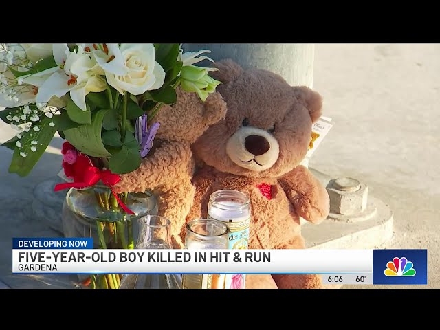 Young boy, grandmother struck by hit-and-run driver in Gardena