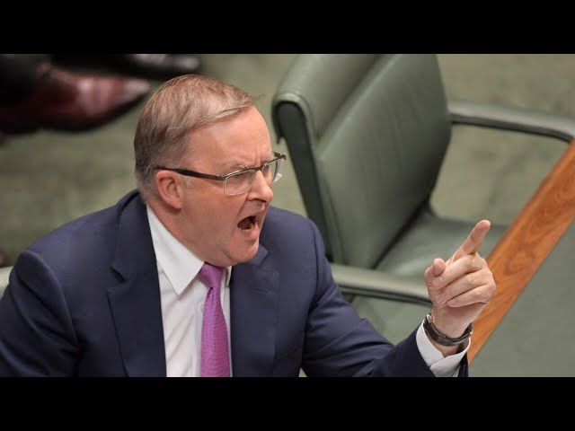 Albanese has become ‘more aggressive towards the Greens’