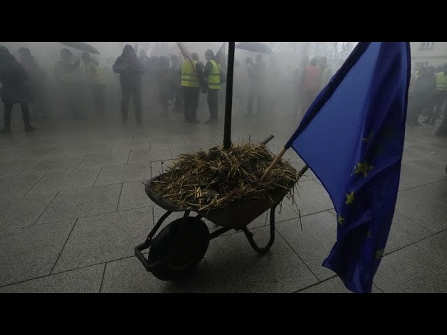 Polish farmers block roads nationwide in mass EU policy protests