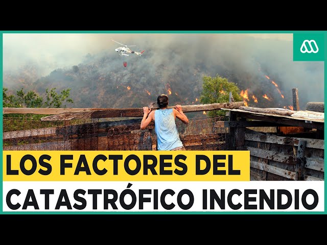 El incendio más mortífero del siglo: Los factores que explican la tragedia en región de Valparaíso