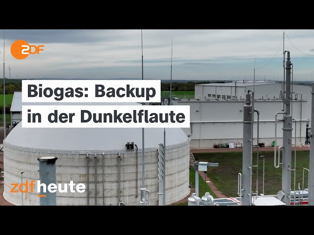 Biogas: Die vernachlässigte Alternative | frontal