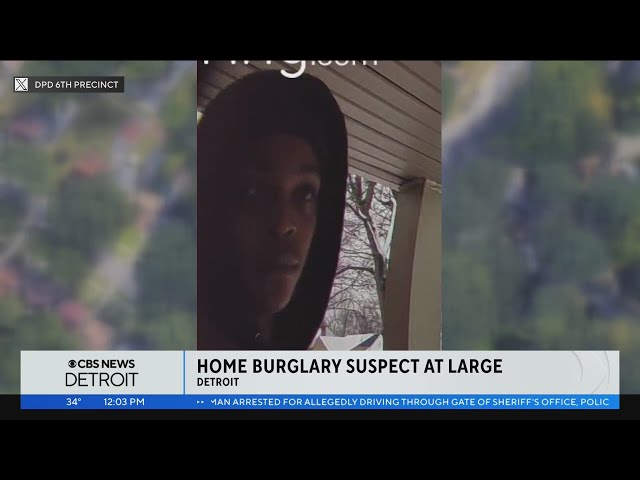 Detroit police searching for suspect in home burglary