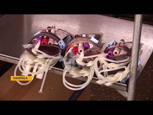 UGANDA TO HOST THE BLOODTRANSFUSION CONGRESS