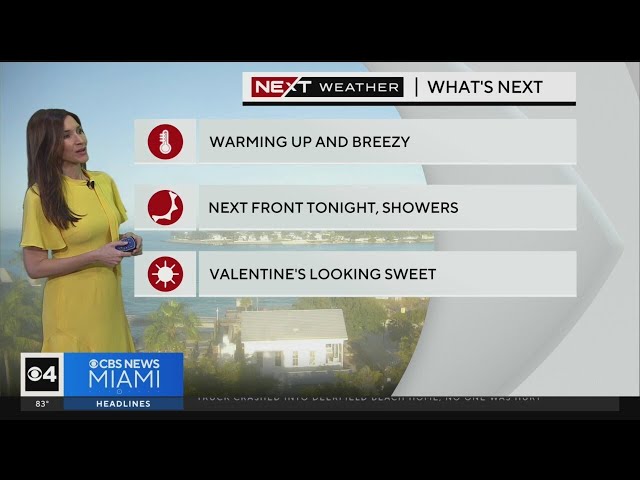 Miami Weather for Monday 2/12/2024 12PM