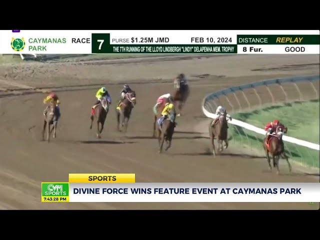 Divine Force Wins Feature Event at Caymanas Park | Sports | CVMTV